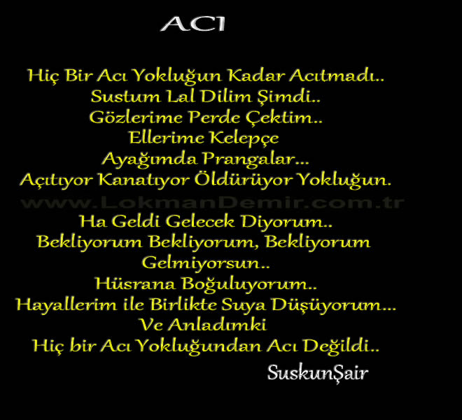 Hiç Bir Acı - SuskunŞair