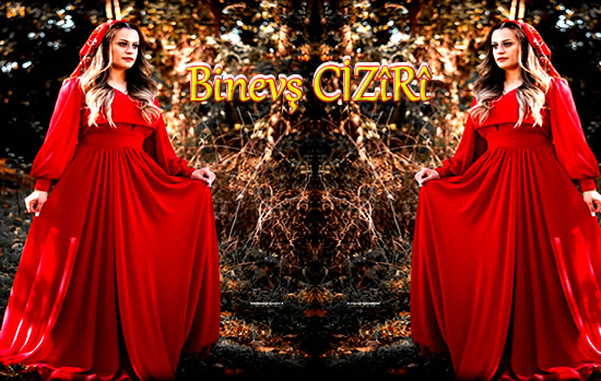 Binevş Cizîrî kimdir