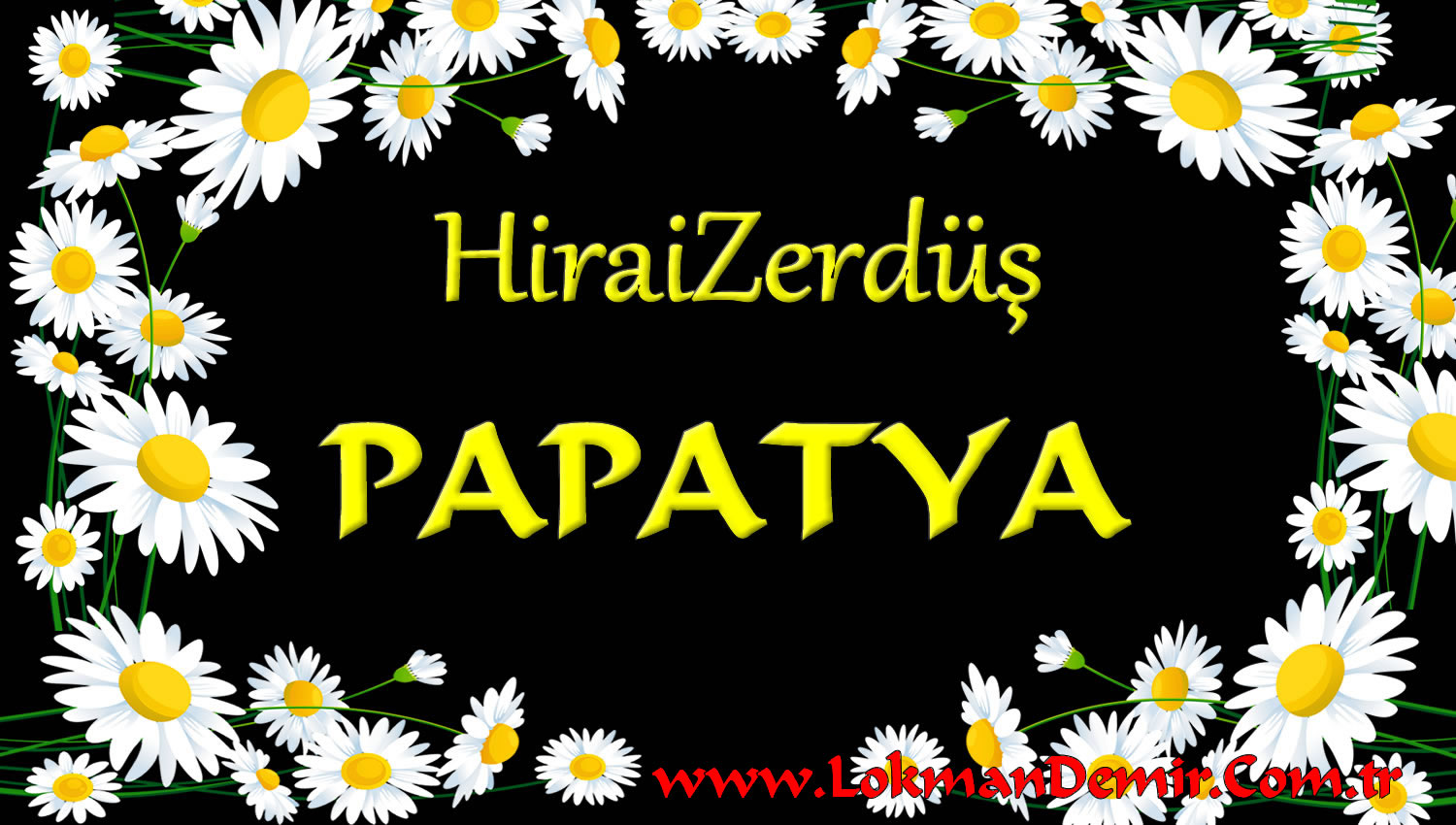 HiraiZerdüş Papatya Şarkı Sözleri