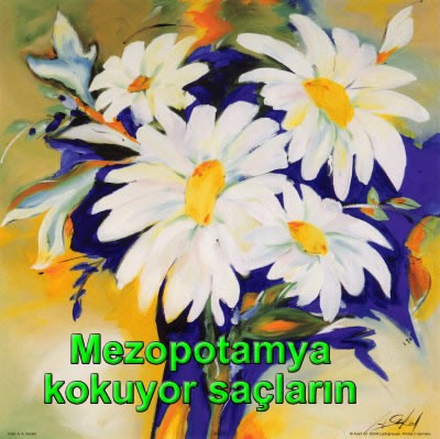 Mezopotamya kokuyor saçların Şiir