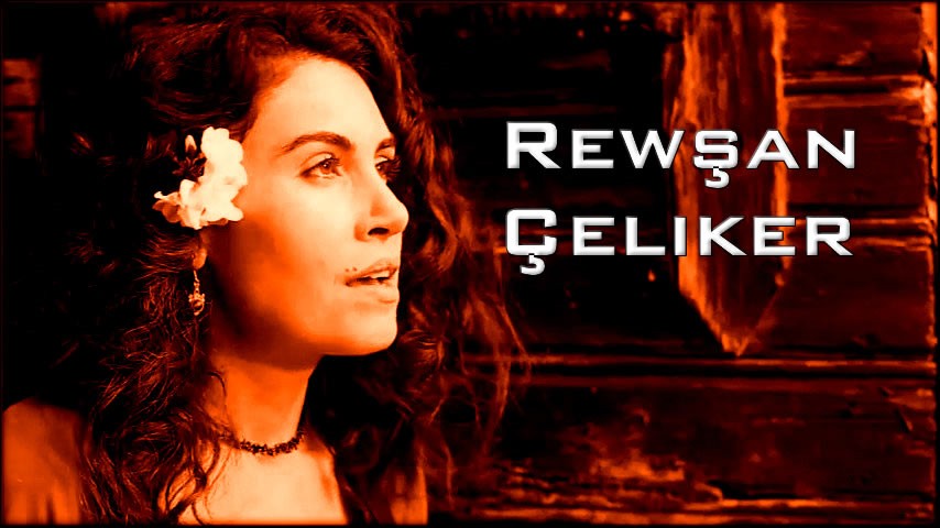 Rewşan Çeliker - Kimdir