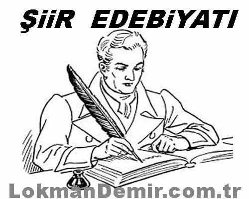 Şiir Edebiyatı hakkında bilgiler