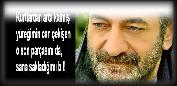 Yusuf Hayaloğlu Kimdir Biyografi